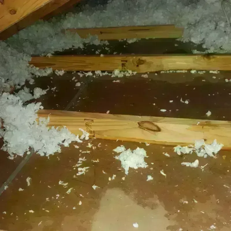 Attic Water Damage in Lockeford, CA